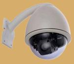 Beverly Hills Security Camera